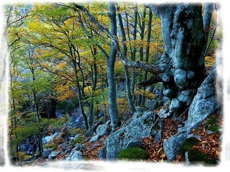 Ard&egrave;che | la Vall&eacute;e de la Drobie | Lablach&egrave;re, Sud Ard&egrave;che | Scoop.it