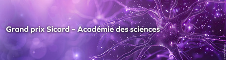 Appel &agrave; candidature : Grand prix Sicard de l'Acad&eacute;mie des sciences 2026 en neurologie | Life Sciences Universit&eacute; Paris-Saclay | Scoop.it