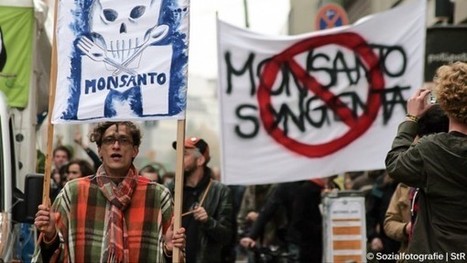 In unusual move, German scientists lobby for GM labeling - Science (2015) | Plant Sciences | Scoop.it