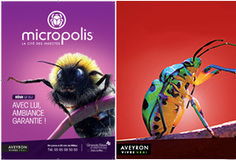 La saison 2016 est lancée à Micropolis, Aveyron (12) | Variétés entomologiques | Scoop.it