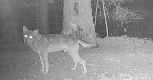 Sorry! Image not available at this time