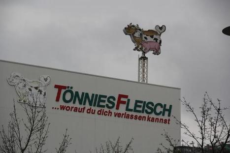 La sous-traitance dans les abattoirs de porcs Allemands, c’est fini | La Gazette des abattoirs | Scoop.it