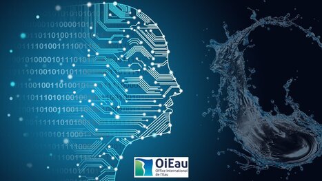 Intelligence artificielle appliquée à la gestion de l'eau - Formation | Biodiversité | Scoop.it