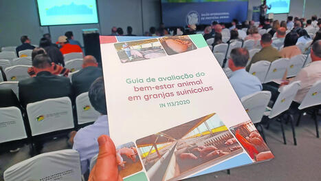 Brazil launches pig welfare guide and checklist - Food & Agribusiness | SCIENCES DE L' ANIMAL | Scoop.it