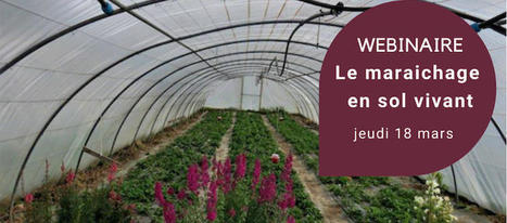 [Webinaire] - Le maraichage en sol vivant | TRANSITION AGROECOLOGIQUE : PRATIQUES ET POLITIQUES AGRICOLES | Scoop.it