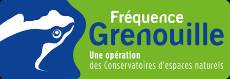 Fréquence Grenouille 2024 du 1er mars au 30 mai | Biodiversité | Scoop.it