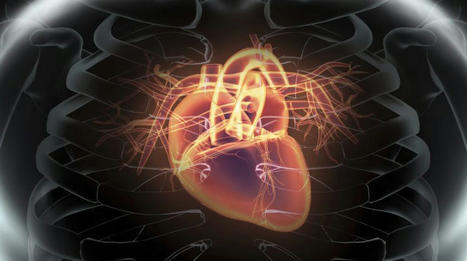 Crowdsourcing campaign looks to improve heart health diagnosis | M-HEALTH  By PHARMAGEEK | Scoop.it