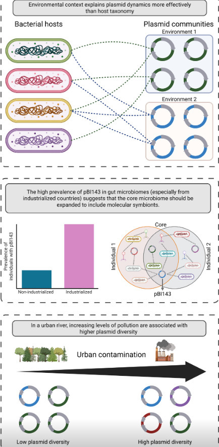 Plasmidomics: studying plasmids as ecological entities beyond their hosts | msc | RMH | Scoop.it