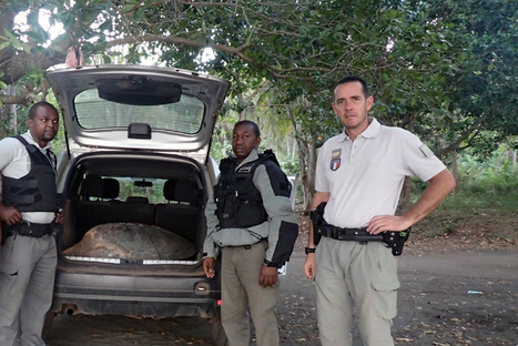 A Mayotte, les inspecteurs de l’environnement sauvent une tortue verte et interpellent cinq braconniers | Biodiversité | Scoop.it