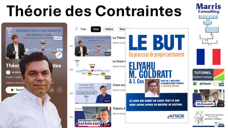 Playlist de >90 vid&eacute;os sur la Th&eacute;orie des Contraintes | Th&eacute;orie des Contraintes | Scoop.it