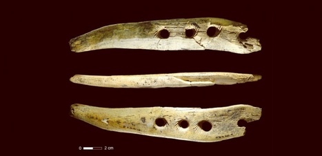D&eacute;couverte d&rsquo;un "instrument &agrave; corde" vieux de 40.000 ans ! | Aux origines | Scoop.it