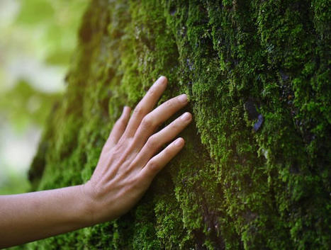 EcoVadis reports key ESG research on industry sustainability | EcoVadis in the Press - Articles and bylines | Scoop.it