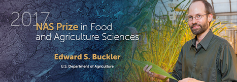Edward Buckler | Plant Biology Teaching Resources (Higher Education) | Scoop.it