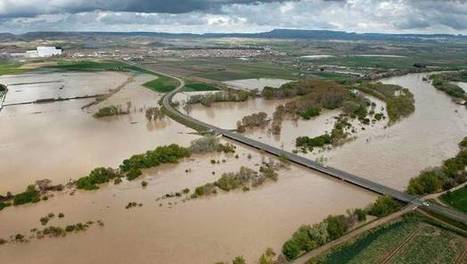 Regantes navarros y riojanos y Asafre reclaman a la CHE una limpieza del Ebro | Ordenación del Territorio | Scoop.it