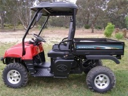 hammerhead buggy for sale