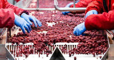 L’Anifelt salue le plan de souveraineté fruits & légumes, mais reste vigilante | HORTICULTURE | Scoop.it