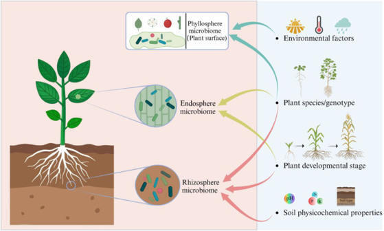 Progress in plant rhizosphere microbiome resear...