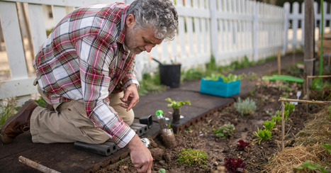 Los beneficios de Madre Natura. Efectividad de los jardines terapéuticos en personas con demencia  | Alzheimer y más (Boletín nº 69) | Scoop.it