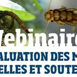 Webinaire : Crit&egrave;res d&rsquo;&eacute;valuation des masses d&rsquo;eau superficielles et souterraines&nbsp; | Biodiversit&eacute; | Scoop.it