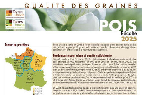 Qualit&eacute; des graines&nbsp;: le pois renoue avec des bons rendements en 2025 | ITERG - Veille sectorielle | Scoop.it
