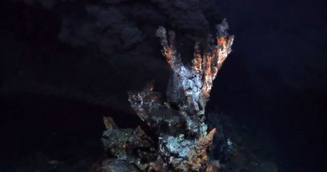 The Ancestor Of All Living Things: Scientists Uncover The Last Common Ancestor of Life on Earth | Aux origines | Scoop.it