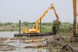 S&eacute;n&eacute;gal | Typha, plante aquatique dangereuse et mat&eacute;riau de construction efficient | D&eacute;veloppement Durable, RSE et Energies | Scoop.it
