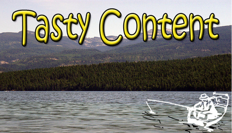 Tasty Content: The Best Bait When Fishing For Leads | Tampa Florida Marketing | Scoop.it