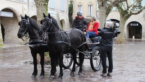 D&eacute;couvrez Uz&egrave;s l'enchanteresse - France 3 C&ocirc;te d&rsquo;Azur | Cheval et Nature | Scoop.it