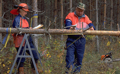 Openmetsä | 1Uutiset - Lukemisen tähden | Scoop.it