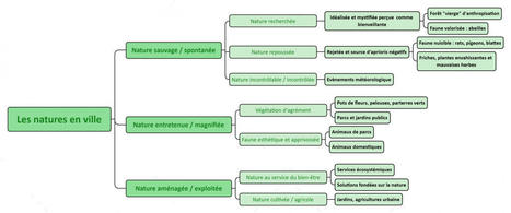 Focus sur le concept de nature en ville, les enjeux de perceptions et de d&eacute;finition | EntomoScience | Scoop.it