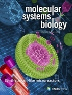 Computer‐aided biochemical programming of synthetic microreactors as diagnostic devices | RMH | Scoop.it