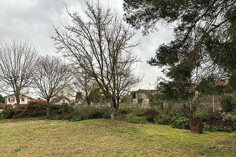 Compensation des dégâts environnementaux : le volontariat des entreprises, oui, mais… | Développement local | Scoop.it