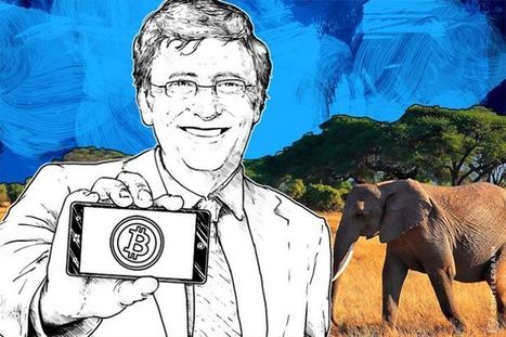 Bill & Melinda Gates Foundation Promotes Bitcoin in Kenya | Peer2Politics | Scoop.it