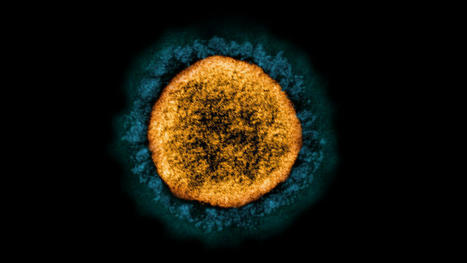 We know a lot about Covid-19. Experts have many more questions | Infectious Diseases | Scoop.it