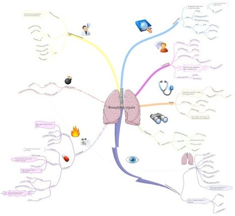 Bronchites aiguës mind map | Cartes mentales | Scoop.it