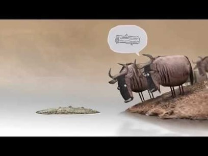 Funny Forex Video About Forex Guru Profitf Co - 