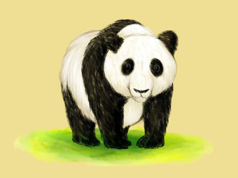 How to Draw a Panda | Drawing and Painting Tutorials | Scoop.it