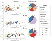 Réchauffement climatique et pertes de récolte dues aux insectes ravageurs : Veille Prospective & Evaluation | SCIENCES DU VEGETAL | Scoop.it