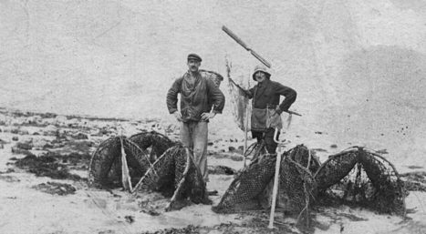 Camargue : comment pêche-t-on à la manière traditionnelle?  | Camargue Nature | Scoop.it