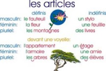 articles définis et indéfinis FLE - InfoWorlds | POURQUOI PAS... EN FRANÇAIS ? | Scoop.it