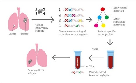 Cancer’s Circulating Secrets | from Flow Cytometry to Cytomics | Scoop.it