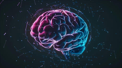 Bouger notre corps d&eacute;clencherait un myst&eacute;rieux m&eacute;canisme de purge du cerveau, affirment des chercheurs | @ZeHub | Scoop.it