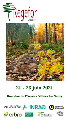 Atelier ReGeFor 2020 Forêts en crise : relevons le défi ! du 21 au 23 juin 2021 à Villers-lès-Nancy - Domaine de l'Asnée - Meurthe et Moselle  | Les Colocs du jardin | Scoop.it