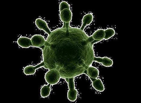 Scientists Capture Images of Viruses at the Nanoscale | Science News | Scoop.it