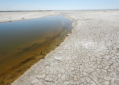 Sécheresse : la quasi-totalité du territoire soumise à des restrictions d'eau plus ou moins sévères | Veille juridique du CDG13 | Scoop.it