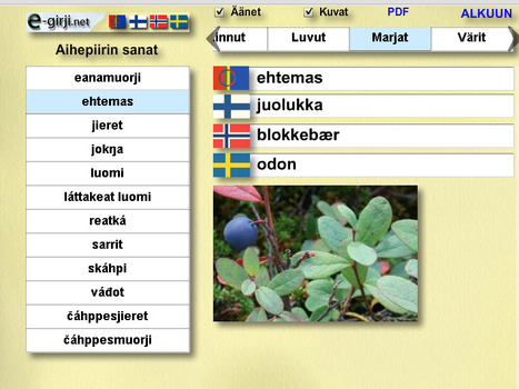 e-girji.net | 1Uutiset - Lukemisen tähden | Scoop.it