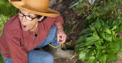 Mese di settembre: semina, raccolto e lavori nell'orto | Orto, Giardino, Frutteto, Piante Innovative e Antiche Varietà | Scoop.it