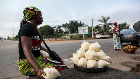 COTE D'IVOIRE : plusieurs cultures vivrières interdites à l'export | AFRIQUES | Scoop.it