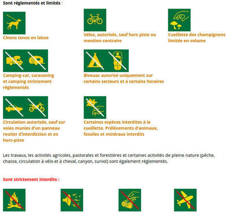 Champignons : nos 10 conseils pour une cueillette réussie, responsable et éthique | Parc national des Cévennes | Cévennes Infos Tourisme | Scoop.it