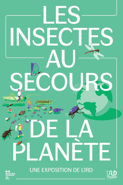 Exposition : Les insectes au secours de la planète (Angers) | Variétés entomologiques | Scoop.it